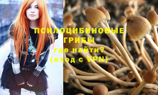 spice Заволжск