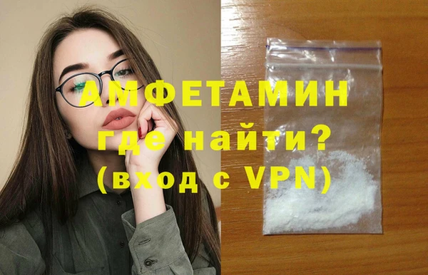 spice Инта