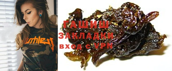 spice Инта