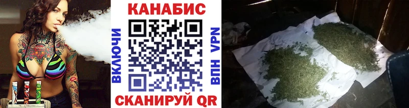 Каннабис сатива Краснознаменск